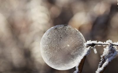 Dégrèvement de taxes foncières suite au gel d’avril 2017